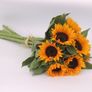 (S) Sunflower Soraya seeds (10s) (411955) Image 3