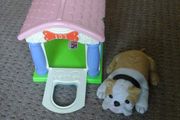 dog and kennel