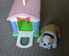 dog and kennel
