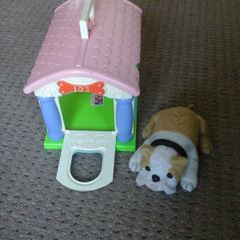 dog and kennel