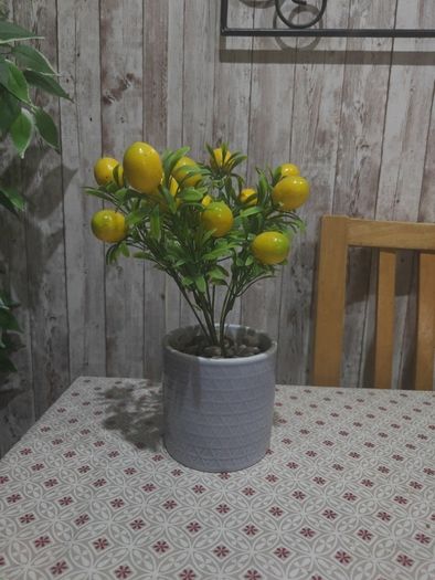 lemon plant