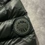 Canada goose Crofton Image 2