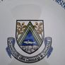 greystones town commission Image 2