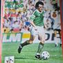 Collection of Ireland Soccer Programmes Image 10