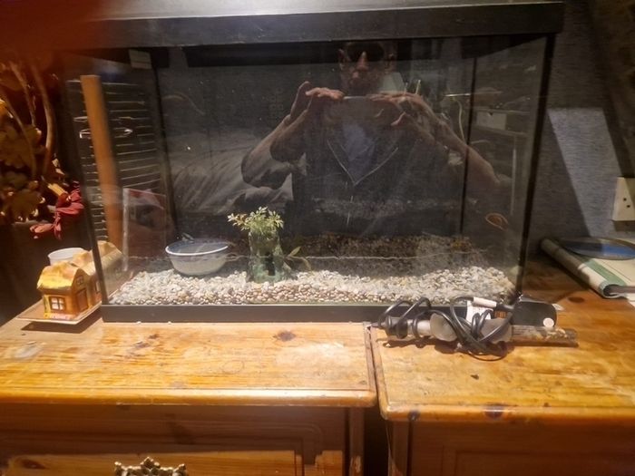 fish tank