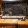 fish tank Image 2