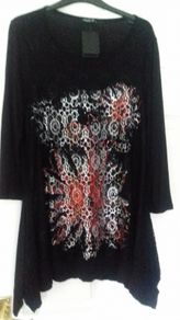 Sophie B dressy tunic top