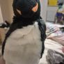 Hand Puppets. Bnwt Image 5
