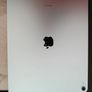 Ipad Air 13" M2 (latest Model) - Mint - 12 Batt Cycles + Spigen Image 2