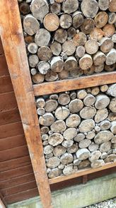 timbers