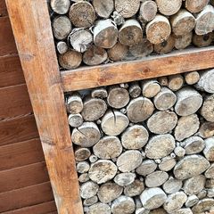 timbers