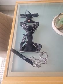 Dog harness and lead