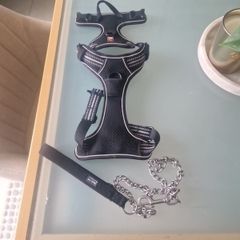 Dog harness and lead