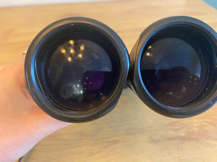 Binoculars: ZEISS Dialyt 8x56 B