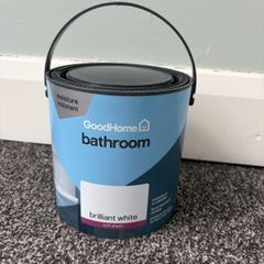 2.5L white bathroom paint