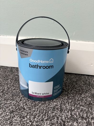 2.5L white bathroom paint