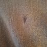 All Saints Olnar Knitted Sweater XXL Image 4