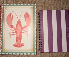 Lobster cover notebook and purple striped diary 2026-2027 mid-year academic diary brand new