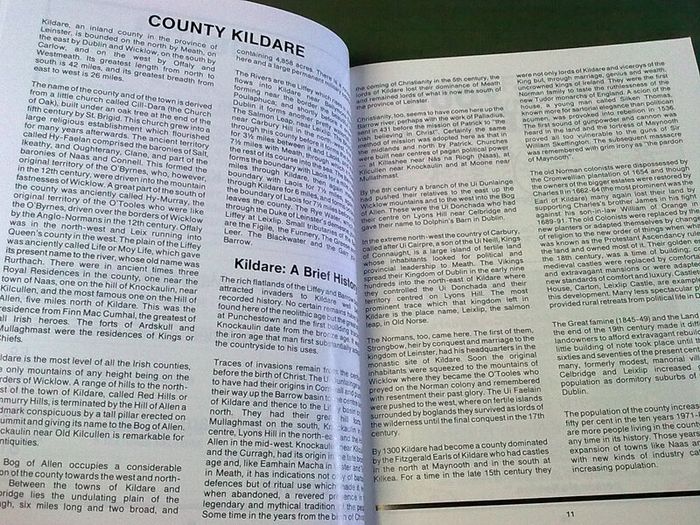 Official Guide to County Kildare Ireland Irish Old guide