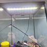 fish tank Image 7