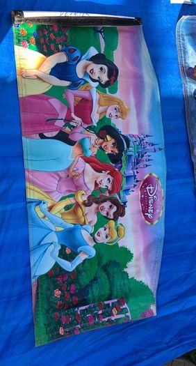 ASP Bouncy Castle for hire
