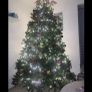 Christmas tree Image 2
