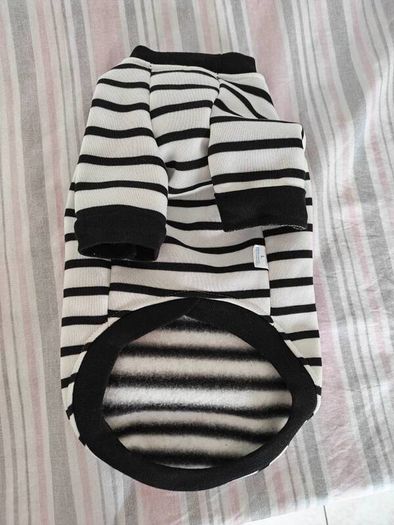 dog jacket