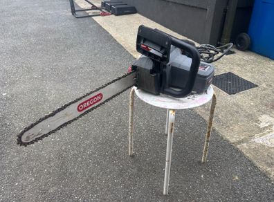 Oregon CS1500 electric chainsaw