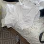 short pjs Image 2
