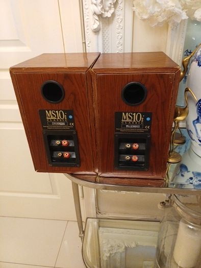 MS10i speaker