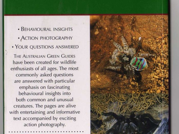 Deadly Spiders Of Australia