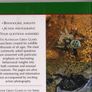 Deadly Spiders Of Australia Image 4