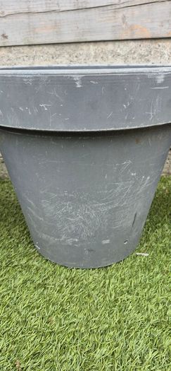 large flower pot