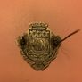Antique  French Brooch Image 3