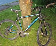 Trek bike