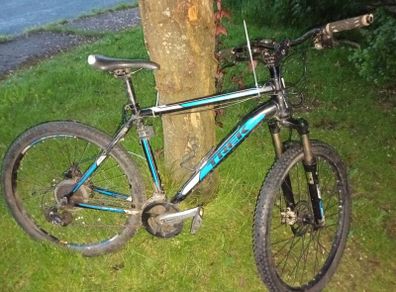Trek bike