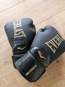 Everlast Elite 12oz boxing gloves