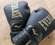 Everlast Elite 12oz boxing gloves