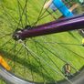 Trek Wahoo 24 inch Image 8