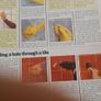 Readers Digest New D-i-y Manual. Over 500 Pages. In Very Good Condition Image 5