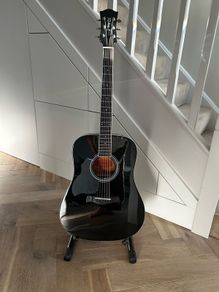 Richwood Guitar left handed