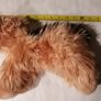 Keel Toys "Honey" Terrier Dog Soft Toy Plush Image 8
