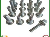 10 X New Extended Peugeot, Citroen Bolts (CIA16) Delivery
