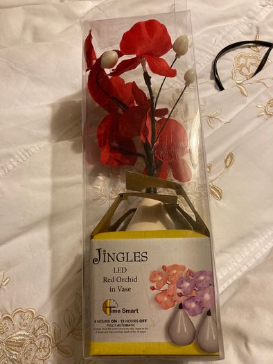 jingles red orchid in a vase