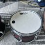Pearl Decade Maple Image 2
