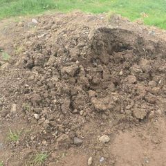 soil/ground