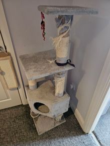 Cat trees, used but in good condition