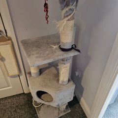 Cat trees, used but in good condition