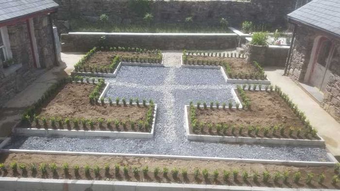 Box Hedging