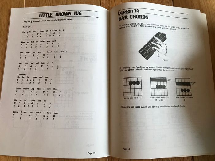 Hand -Crafted Guitar + 2 Guitar Books + Tin Whistle sheets